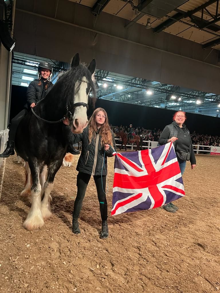 Hund und Pferd Parade